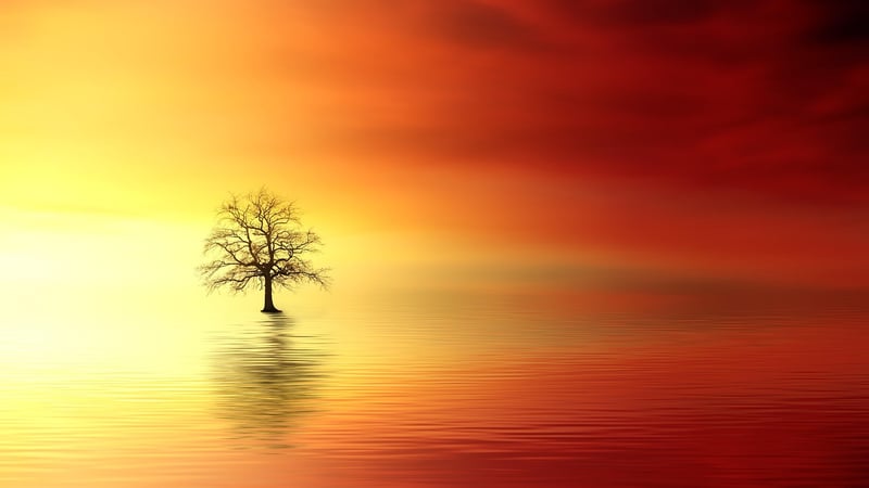 Quiet Reflections